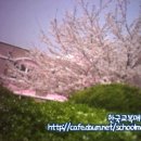 여수중앙여자중학교 이미지
