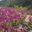 방아다리쉼터1 | 정선 전나무 숲 쉼터 밀브릿지 &amp; 방아다리약수(강원도 평창군 진부면 방아다리로 1011-26 산65)