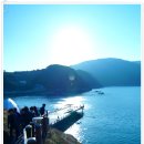 바람의언덕 이미지