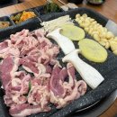 백년오리 이미지