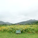 신상1리 마을회관 이미지