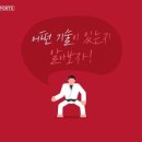 TH용인대유도체육관 이미지