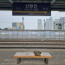 [부천] 백만송이 장미공원(도당공원 장미원) 이미지