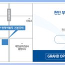 부성투자