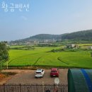 수목원해변펜션 이미지