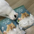 김케이알 이미지