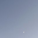 이케아 베이커리