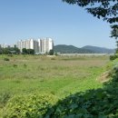 사노교