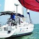 아라파니 이미지