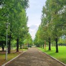 천안종합휴양관광지 이미지