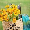 나눔과기쁨 이미지