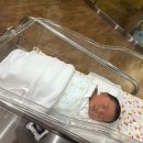 38-D | [출산기록] 역아 출산후기(제왕절개, 38W1D)