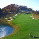 마운틴소프트웨어 이미지