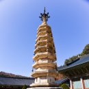 오대산 중대불량문 이미지