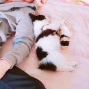 우리똥강아지 이미지