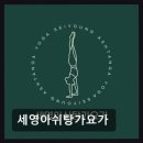 세영아쉬탕가요가 네이버블로그