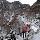 해양치유시티투어 이미지