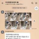 TLC 동물의료센터 | [동탄호수공원] 동탄 강아지 건강검진 스케일링 이프동물의료센터 내돈내산 후기