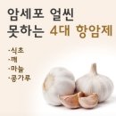 암세포&#39; 얼씬도 못하게 하는 4대 항암음식 이미지