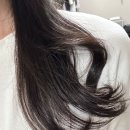 샤프롱헤어 | [솔직후기] 샤크 플렉스타일 에어스타일러 vs 다이슨, 긴머리 숱부자가 한 달간 써보고 내린 종착지