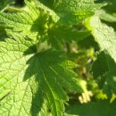 자비손한의원 이미지