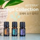 바닐라요가