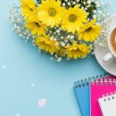 이 세상에서 가장 아름다운 사람은 이미지