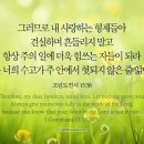 오늘의 &#39;영어성경 사진&#39;(539강) “주님안에서 우리의 수고가 헛되지 않습니다”(고린도전서 15장 58절) 이미지