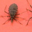 뷰티펫동물병원 이미지