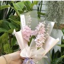 불치목장 이미지