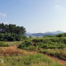 송석리 이미지