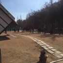 평촌중앙공원 테니스장 앞 이미지