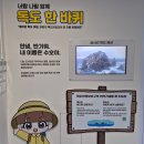 위기에빠진도서관을구해라(서천초6-1) | 서울 아이와 무료 전시회 AR 뮤지컬 잃어버린 책을 찾아서 w 어린이독도체험관