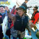 도시어부낚시 동아일보