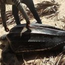 (주)거북 이미지