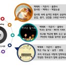 눈으로 미리 보는 학교도서관 (I(Eye)-Reading, 추천도서) 이미지