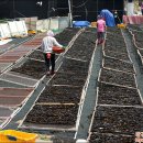 대변해변3 이미지