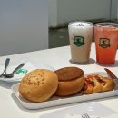 제니아빈 이미지