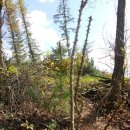 허굴산장 | #.바람되어 구름되어...[ ㅇ.강원 정선(旌善) 민둥산(1,119m).지억산(芝億山 :1,116.7m), ㅇ. 강원 태백...