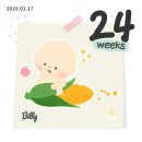 시약 | [임신기록] 24주차 임당검사 후기,정밀초음파 (주의점·시약맛·검사시간)