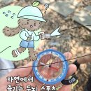 함께 뛰노는 스포츠 | [오리엔티어링] 길치 발목 부상자의 오리엔티어링 출전 후기 제주 야외스포츠