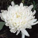 우리은행건물 이미지