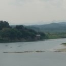 강변살자 이미지