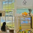 (주) 엘담 네이버블로그