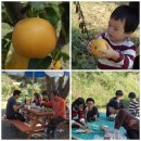 산들농원 Daum카페