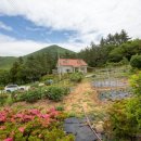 백향목숲휴양림 이미지