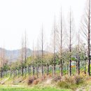 밀양대로 이미지