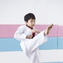 리틀타이거 태권도 이미지