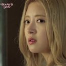 브레드9 이미지