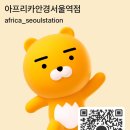 아프리카안경 이미지